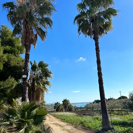 Erika Sofja Porto Palo